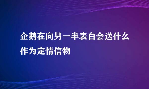 企鹅在向另一半表白会送什么作为定情信物