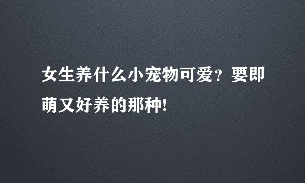 女生养什么小宠物可爱？要即萌又好养的那种!