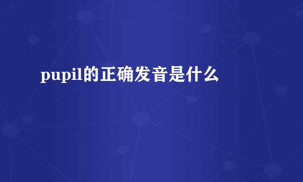 pupil的正确发音是什么