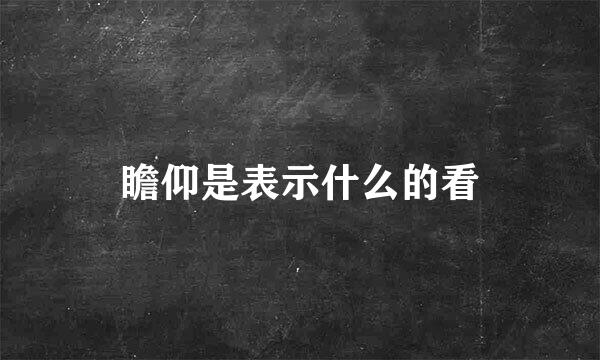 瞻仰是表示什么的看