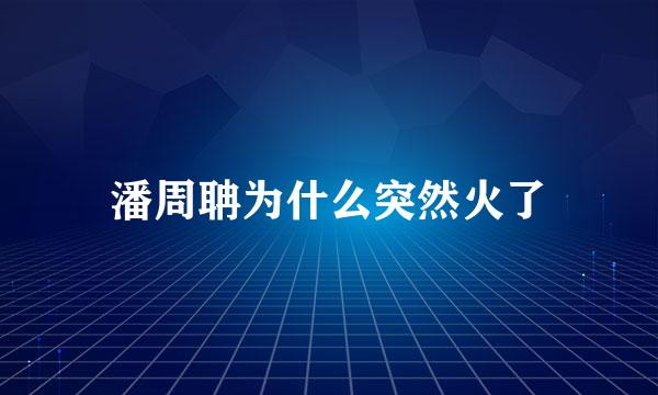 潘周聃为什么突然火了