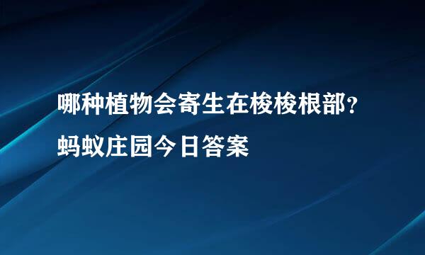 哪种植物会寄生在梭梭根部？蚂蚁庄园今日答案