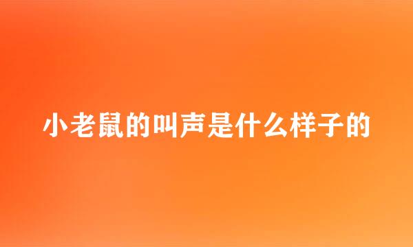 小老鼠的叫声是什么样子的