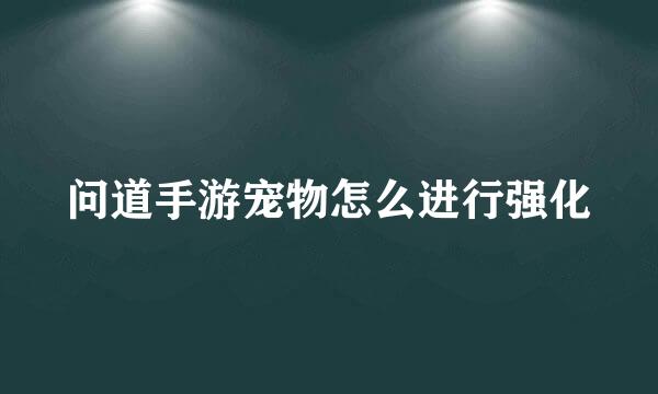 问道手游宠物怎么进行强化