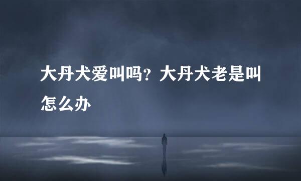 大丹犬爱叫吗？大丹犬老是叫怎么办