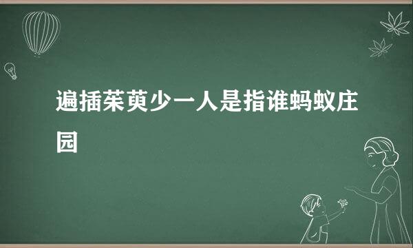 遍插茱萸少一人是指谁蚂蚁庄园