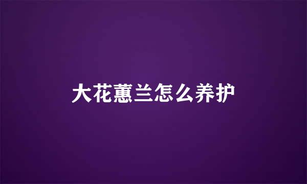 大花蕙兰怎么养护