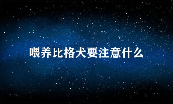 喂养比格犬要注意什么