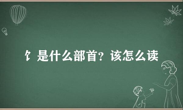 饣是什么部首？该怎么读