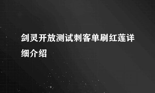 剑灵开放测试刺客单刷红莲详细介绍