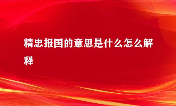 精忠报国的意思是什么怎么解释