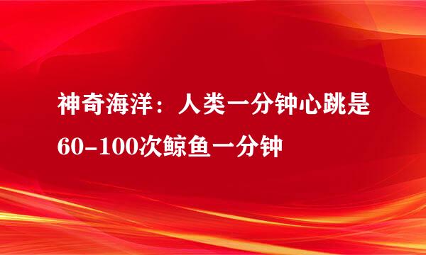 神奇海洋：人类一分钟心跳是60-100次鲸鱼一分钟