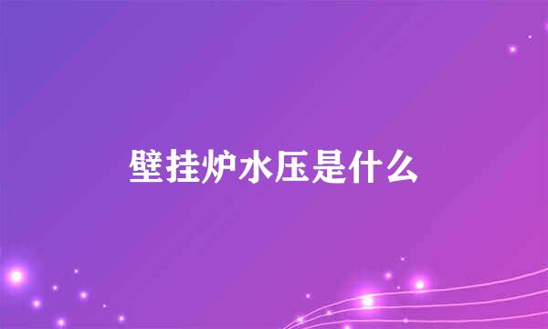 壁挂炉水压是什么