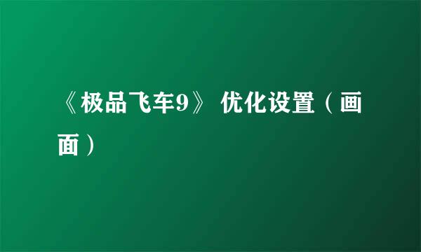 《极品飞车9》 优化设置（画面）