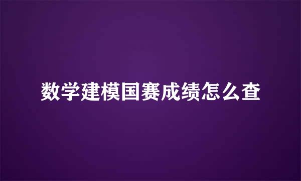 数学建模国赛成绩怎么查