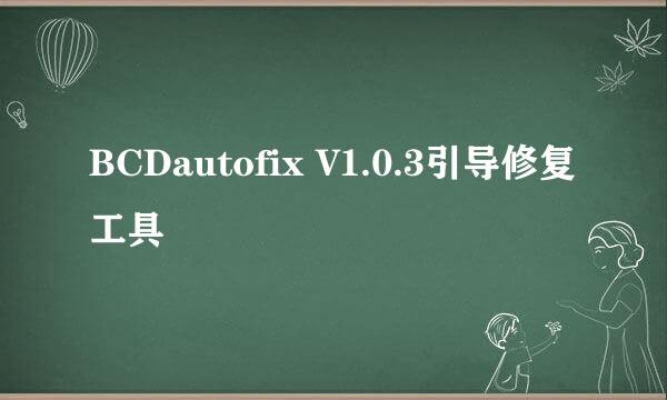 BCDautofix V1.0.3引导修复工具