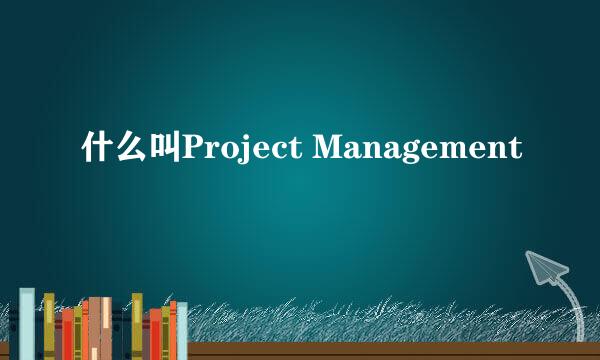 什么叫Project Management