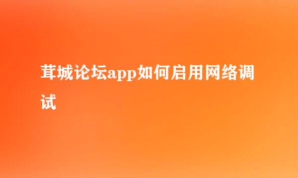 茸城论坛app如何启用网络调试