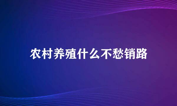 农村养殖什么不愁销路