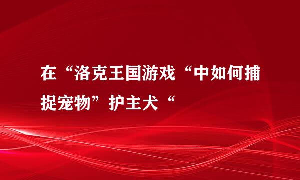 在“洛克王国游戏“中如何捕捉宠物”护主犬“