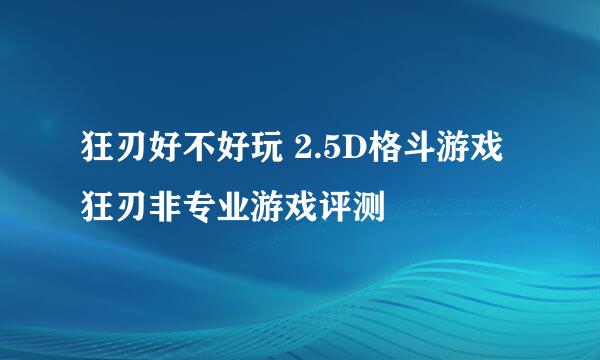 狂刃好不好玩 2.5D格斗游戏狂刃非专业游戏评测