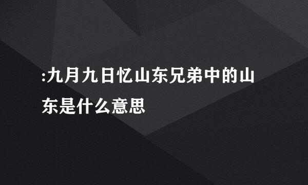 :九月九日忆山东兄弟中的山东是什么意思