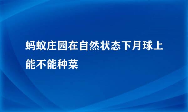 蚂蚁庄园在自然状态下月球上能不能种菜