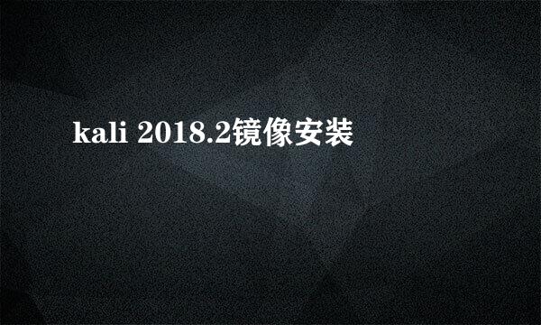 kali 2018.2镜像安装