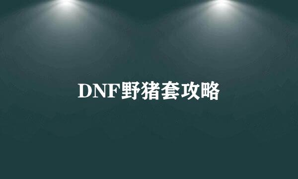 DNF野猪套攻略