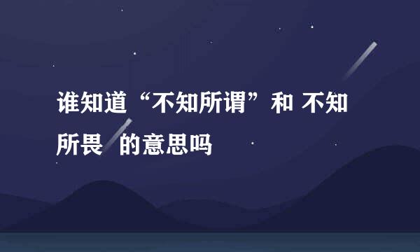 谁知道“不知所谓”和 不知所畏  的意思吗