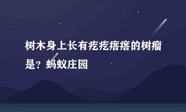 树木身上长有疙疙瘩瘩的树瘤是？蚂蚁庄园