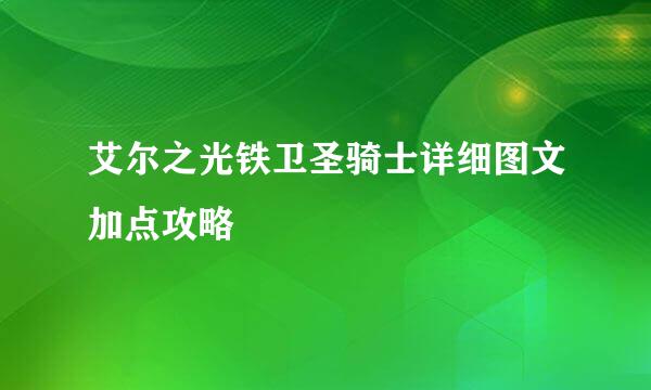 艾尔之光铁卫圣骑士详细图文加点攻略