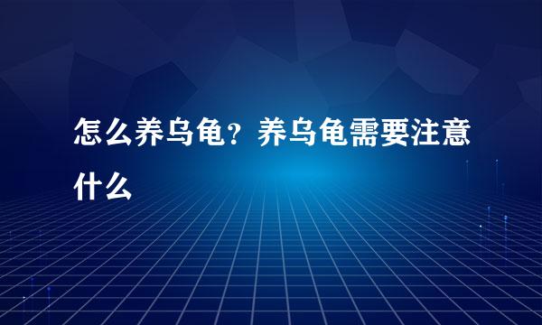 怎么养乌龟？养乌龟需要注意什么