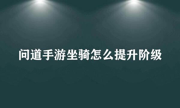 问道手游坐骑怎么提升阶级