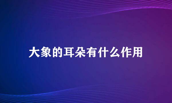 大象的耳朵有什么作用