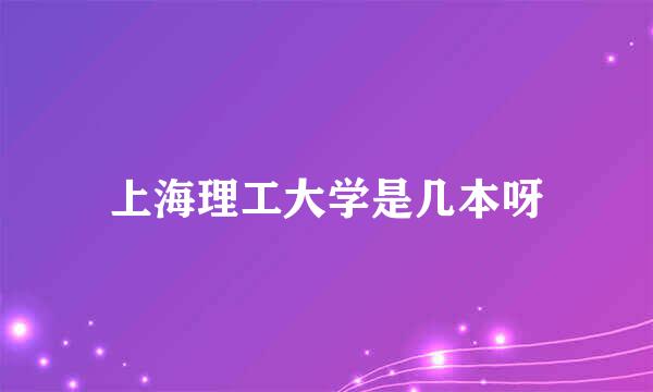 上海理工大学是几本呀