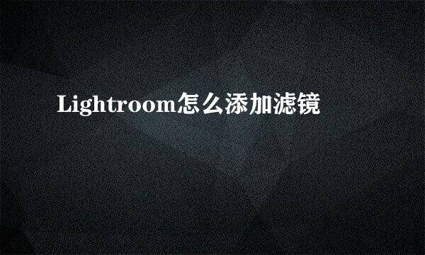 Lightroom怎么添加滤镜