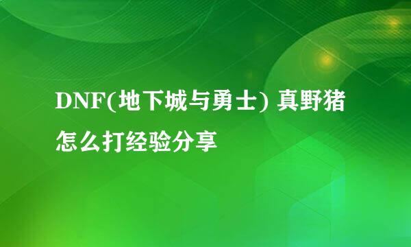 DNF(地下城与勇士) 真野猪 怎么打经验分享