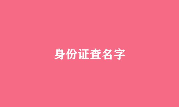 身份证查名字