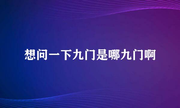 想问一下九门是哪九门啊