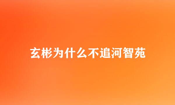 玄彬为什么不追河智苑