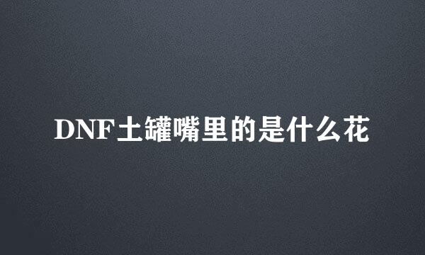 DNF土罐嘴里的是什么花