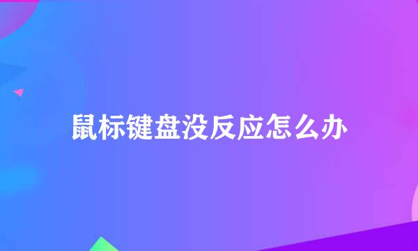 鼠标键盘没反应怎么办