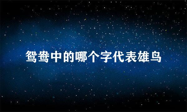 鸳鸯中的哪个字代表雄鸟