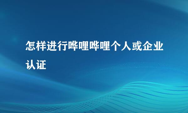 怎样进行哗哩哗哩个人或企业认证