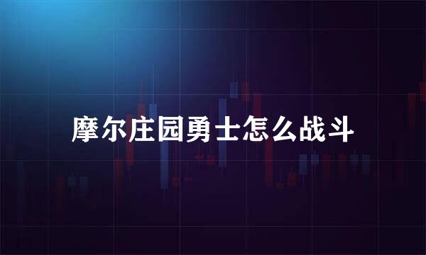 摩尔庄园勇士怎么战斗