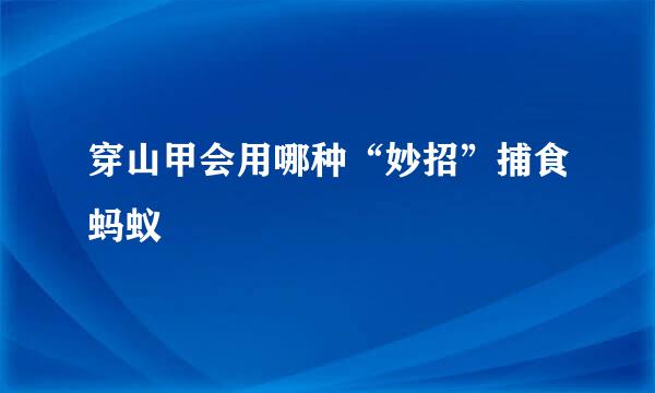 穿山甲会用哪种“妙招”捕食蚂蚁