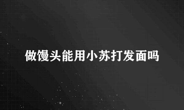 做馒头能用小苏打发面吗