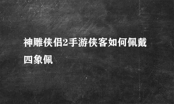 神雕侠侣2手游侠客如何佩戴四象佩