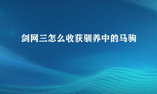 剑网三怎么收获驯养中的马驹